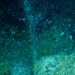Sea floors host surprise methane-munching microbes