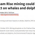 Chatham Rise mining could have impacts on whales, dolphins, EPA told