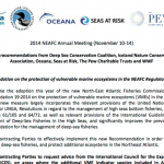North East Atlantic Fisheries Commission makes limited progress to protect deep-sea species and habitats