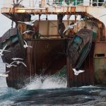 Russian companies sign pact to lessen trawling impacts