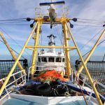Shipwrecks at risk from ‘fishing bulldozers’