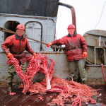 Why We Must Act Now To Protect The Deep Sea From Destructive Bottom Trawling