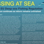 Download our briefing paper Missing At Sea – a new EU deep-sea fishing regulation
