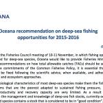 Oceana denounces Council decision on deep-sea fishing opportunities