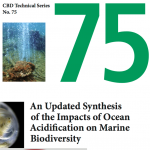 An updated synthesis of the impacts of ocean acidification on marine biodiversity