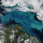 Uncharted Arctic waters: A new opportunity for exploitation, or conservation?