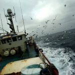 Ground-breaking Research Confirms Case for the EU to Close the Deep Sea to Bottom Trawling Below 600 Metres