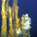 Deep sea life needs ‘better protection’ from mining, says Victoria University researcher