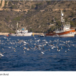 Marine Stewardship Council Certifies Destructive Deep Sea Fishery