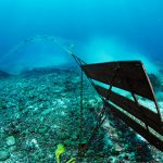 Deep-sea ecosystems still under threat despite UN protection