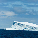 Stronger protection needed to save Antarctica’s marine biodiversity
