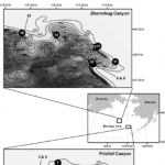 Structure-Forming Corals and Sponges and Their Use as Fish Habitat in Bering Sea Submarine Canyons