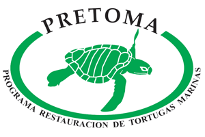 Programa Restauración de Tortugas Marinas (PRETOMA)