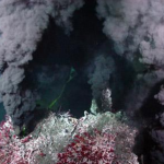 Deep sea: Potential threats to Earth’s ‘final frontier’ are growing