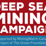 Deep Sea Mining company sinking in deep water