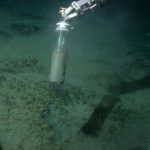 Observing the development of a deep-sea greenhouse gas filter