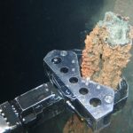 Directors exit seabed mining company