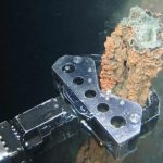 Deep-sea mining to turn oceans into ‘new industrial frontier’