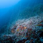 Greenpeace says deep sea mining causes irreversible harm to oceans