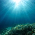 Deep seabed mining could inflict considerable direct and indirect harm