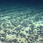 A rush is on to mine the deep seabed, with effects on ocean life that aren’t well understood